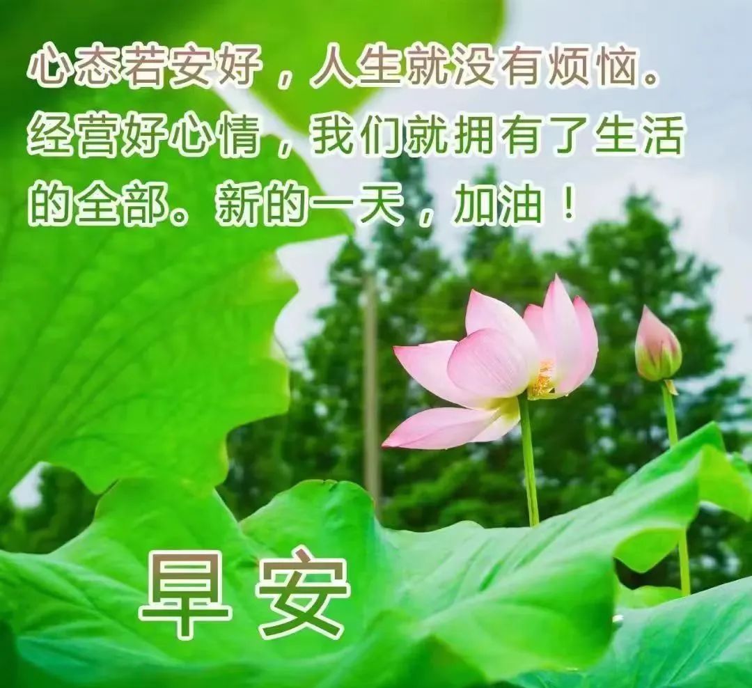 免打字的清晨早安问候祝福图片带字,早安问候语及暖心的话(免打字早上