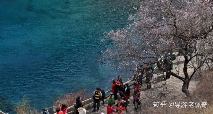 去九寨沟风景区游玩，有哪些推荐玩法？