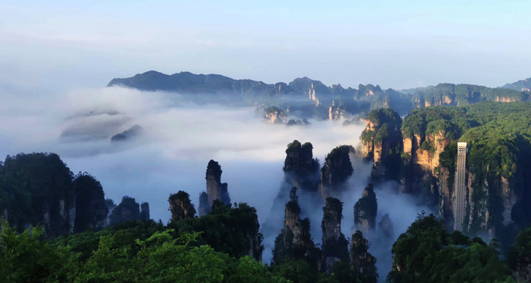 张家界旅游攻略：张家界旅游自由行、自助游、跟团游怎么选择，到张家界怎么玩