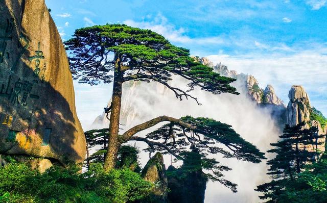 爬黄山崩溃想回家？黄山旅游攻略，带你玩转黄山，享受假期的美好