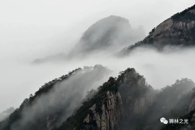 「黄山寻秋记」黄山逢秋